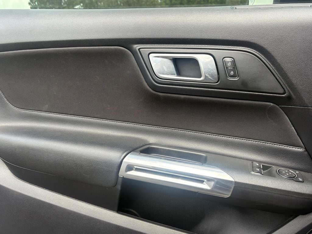 2019 Ford Mustang GT - Photo 11
