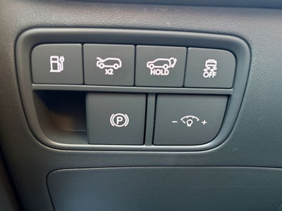 2026 Hyundai IONIQ 9 Performance Calligraphy