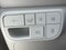 2026 Hyundai PALISADE SEL 8 Passenger