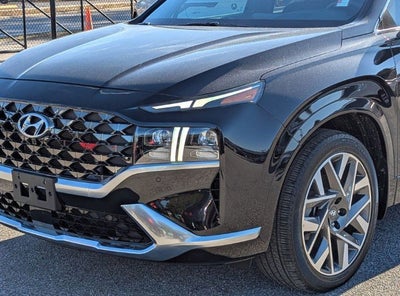 2023 Hyundai SANTA FE Calligraphy